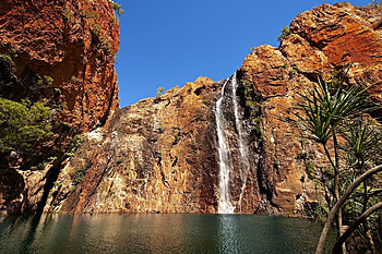 Nature, Palms, Rocks, Bright, Waterfall, Break, Precipice, Day HD wallpaper