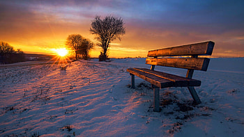 Winter Sunset, bench, snow, clouds, colors, landscape, trees, sky HD wallpaper