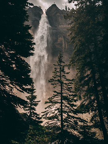 Nature, Water, Trees, Rock, Waterfall, Break, Precipice HD phone wallpaper