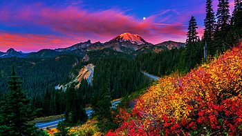 Sunset in a Park, trees, landscape, clouds, colors, road, flowers, sky, mountains HD wallpaper