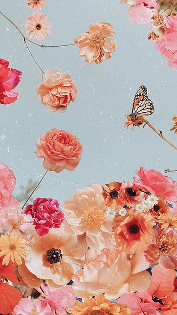 Flowers Aesthetic, Adorable HD phone wallpaper