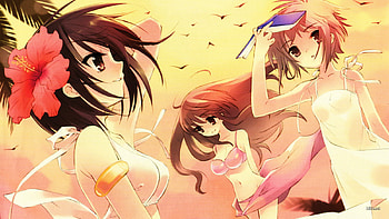 Beach Girls, suits, birds, beach, swim, book, anime, flower, girls, hair, sunset HD wallpaper