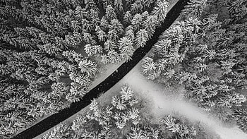 Winter arial view, Snowy wonderland, , Serene scenery HD wallpaper