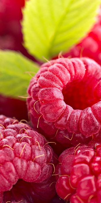 Food, Raspberry, Background HD phone wallpaper