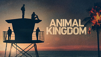 Animal Kingdom TV Series, Exciting videos, Binge-worthy series, 2016-2022 HD wallpaper