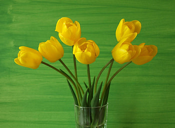 Flowers, Background, Tulips, Vase HD wallpaper
