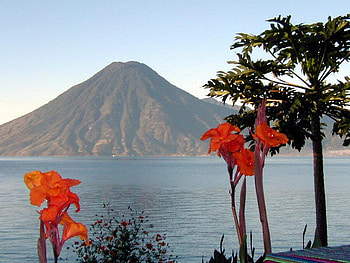 Atitlan, Guatemala, guatemala, flower, atitlan, lake, mountain HD wallpaper