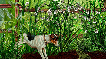 Face Off, dog, dirt, spaniel, farm, corn stalks, frog, grass, ranch, field, fence, flowers HD wallpaper
