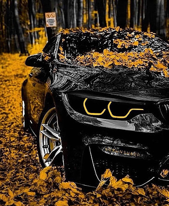 Car, automotive lighting HD phone wallpaper