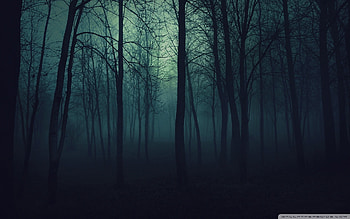 landscape dark forest pc HD wallpaper