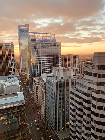 Charlotte NC Skyline, Travels, My City, My Town HD phone wallpaper
