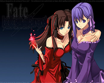 Sakura and Rin, anime girl, fate stay night, rin tohsaka, sakura matou HD wallpaper