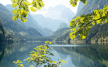 Lake Gosausee in Austria, Austria, calm, mountains, lake, leaves HD wallpaper