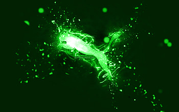 Puma green logo, , green neon lights, creative, green abstract background, Puma logo, brands, Puma HD wallpaper