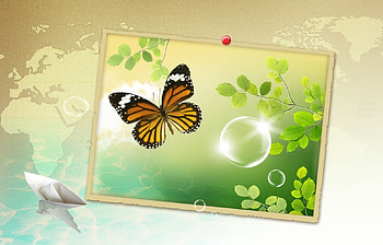 Butterflies HD wallpaper