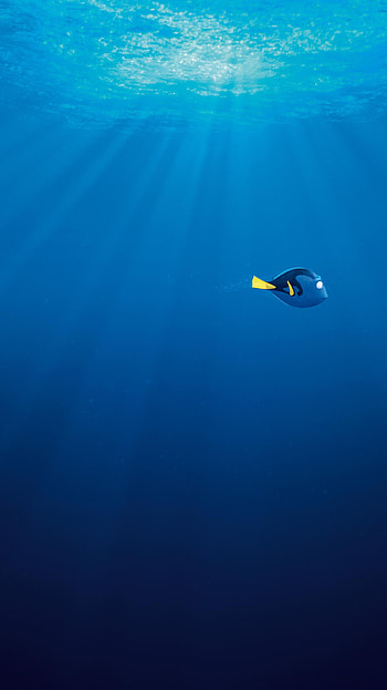 Finding Dory (2022) movie HD phone wallpaper