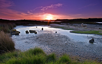 Ambury Sunset, river, skies, sunsets, ambury, nature, water, sunset HD wallpaper