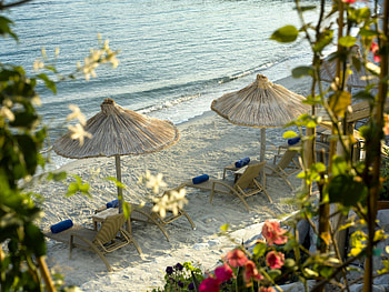Beach, lounge, cheddar, sand, graphy, relax, vacation, nice, quiet, pleasant, water, ocean, sea, beautiful, cool, nature, flowers HD wallpaper