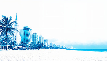Stunning Miami Beach in Ultra, Miami, beach, skyline, ocean, palm tree HD wallpaper