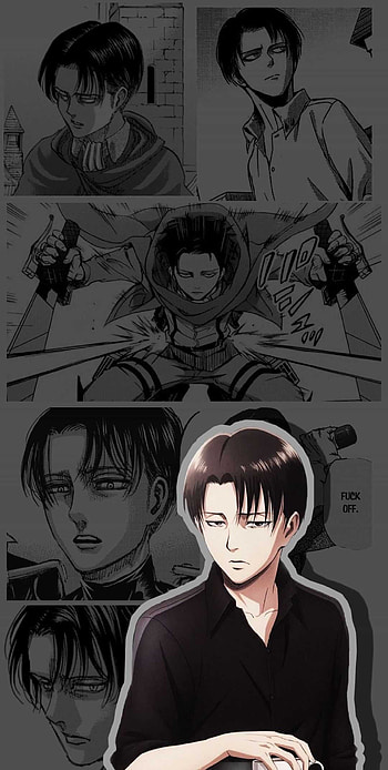 Levi Ackerman, er, AOT fan, Anime character HD phone wallpaper