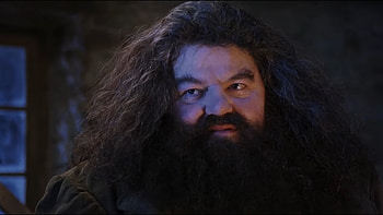 Hagrid movie, Rubeus Hagrid , Posted by Ethan Thompson, Digital artwork HD wallpaper