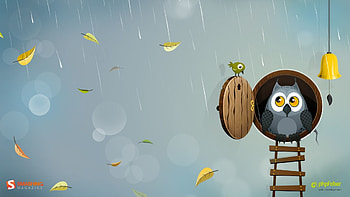 Best Walls of Cute Owl Quality Cute Owl HD wallpaper
