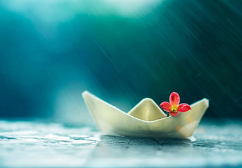 Boat, light, red, flower HD wallpaper
