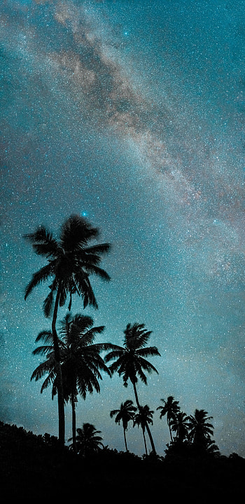 Night, Palms, Dark, Starry Sky, Milky Way HD phone wallpaper
