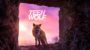 Teen Wolf, teen-wolf, tv-shows, wolf, behance HD wallpaper