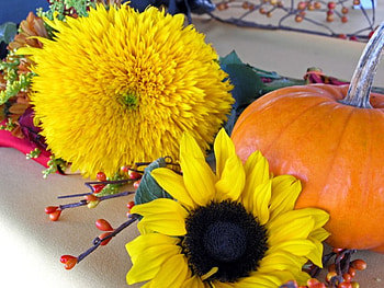 Thanksgiving Decoration, abstract, seasons, graphy HD wallpaper