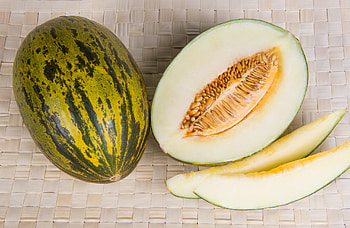 Piel de Sapo, Melons HD wallpaper