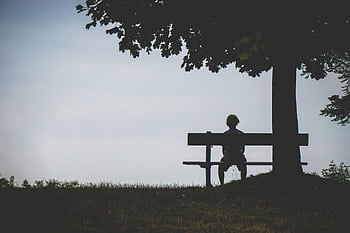A lone silhouette on a bench under a tree evokes solitude at twilight. HD wallpaper