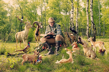 School, book, woods, animals, man HD wallpaper