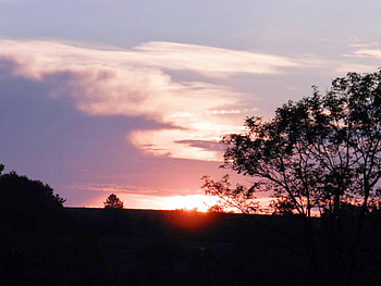 Pretty Sky, graphy, Sunset, Trees, Field, Nature, Clouds, Sky HD wallpaper