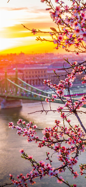 Budapest, Spring HD phone wallpaper