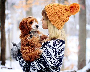 Girl and dog, winter, pay, dogs, cute, puppies, beauty, dog face, snow, animals, sweet, cold, girl, beautiful, playful, playful dog, puppy, pretty, face, lovely, bubbles HD wallpaper