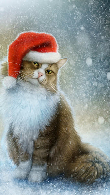 Christmas, Cats HD phone wallpaper