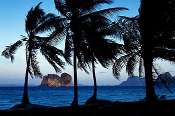 COAST OF THAILAND, sea, thailand, coast, rock, palmtrees, beach, mountain HD wallpaper