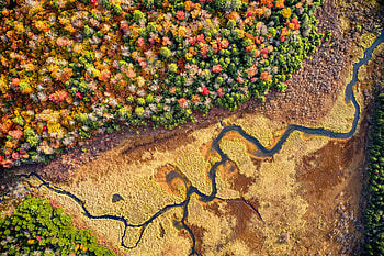 Nature, Rivers, View From Above, Forest, Relief HD wallpaper