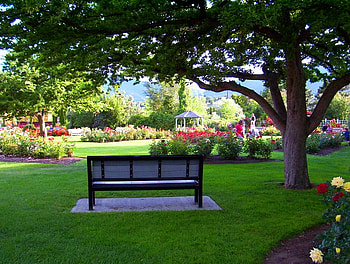 A view from here, bench, roses, plants, gazebo, trees, flowers, park HD wallpaper
