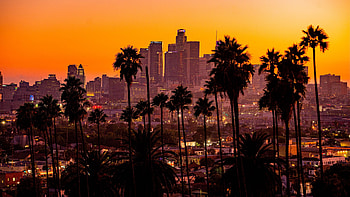 Hollywood Skyline, Travels, Los Angeles HD wallpaper