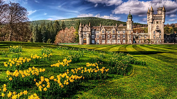 Building, England, Castles, Field, , Castle, Flower, United Kingdom HD wallpaper