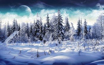 ... winter and screensavers 1 ... HD wallpaper