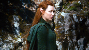 Hobbit and Lord of the Rings, Epic fantasy movie, Magical and enchanting, Desolation and Elves HD wallpaper