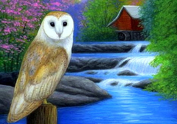 Cool Owl, falls, paintings, waterfalls, spring, owl, love four seasons, animals, draw and paint, flowers HD wallpaper