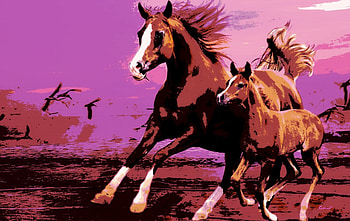 Sunset run, sea, animal, horse, by cehenot, bird, seagull, art, poster, beach, summer, pink, brown, sunset HD wallpaper