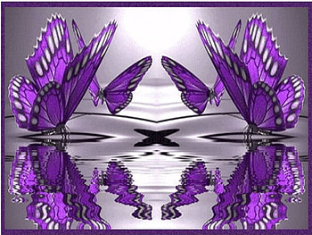 Butterfly Reflections, purple butterflies, reflection HD wallpaper