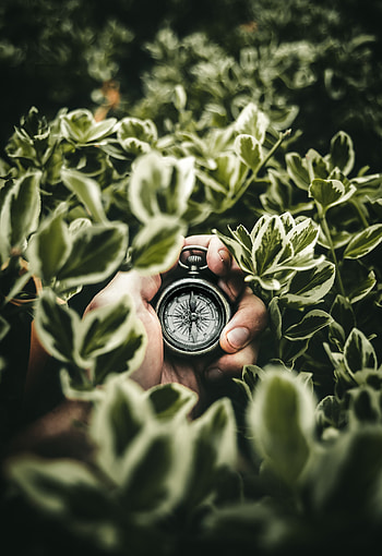 Navigation compass, hand, leaves HD phone wallpaper
