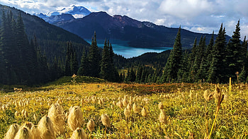 Golden hour at Garibaldi, British Columbia, lake, wildflowers, clouds, landscape, sky, canada, mountains HD wallpaper