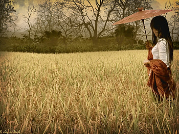 Plain Field, plain, girl, field, dead grass HD wallpaper